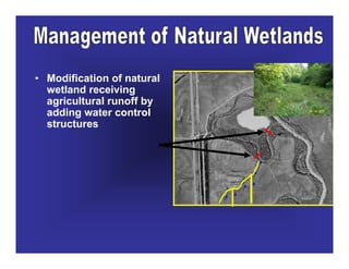 Evaluating wetland impacts on nutrient loads | PDF