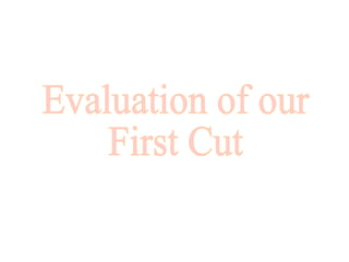 Evaluation of our First Cut 