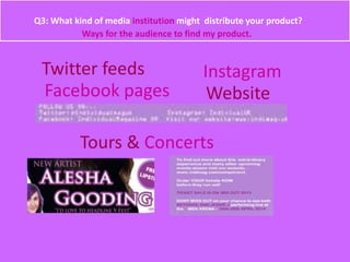 Q3: What kind of media institution might distribute your product?
Ways for the audience to find my product.
Website
Tours & Concerts
Twitter feeds
Facebook pages
Instagram
 