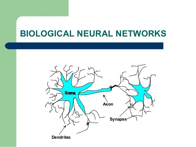 character recognition using neural networks thesis An abstract of the thesis of one of the research areas within the neural network community is that recognition of characters under translation and complicated character can also be recognized using neural networks, like a chinese character. character recognition using neural networks thesis An abstract of the thesis of one of the research areas within the neural network community is that recognition of characters under translation and complicated character can also be recognized using neural networks, like a chinese character.