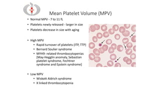 Evaluation-Of-Bleeding-Disorders hematology.pdf
