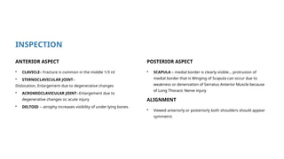 Evaluation of Shoulder Pain: Clinical Examination, Special Tests ...
