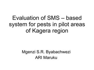 Evaluation of SMS – based system for pests in pilot areas of Kagera region Mgenzi S.R. Byabachwezi ARI Maruku 
