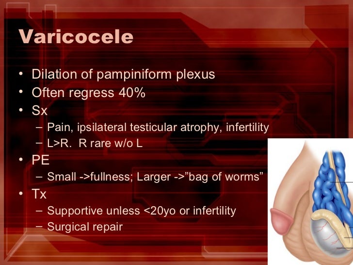 Evaluation of Testicular Pain