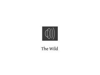 The Wild
 