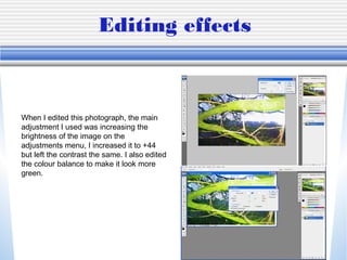 Editing effects
When I edited this photograph, the main
adjustment I used was increasing the
brightness of the image on the
adjustments menu, I increased it to +44
but left the contrast the same. I also edited
the colour balance to make it look more
green.
 