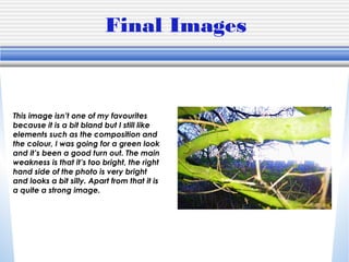 Final Images
This image isn’t one of my favourites
because it is a bit bland but I still like
elements such as the composition and
the colour, I was going for a green look
and it’s been a good turn out. The main
weakness is that it’s too bright, the right
hand side of the photo is very bright
and looks a bit silly. Apart from that it is
a quite a strong image.
 