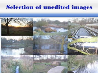 Selection of unedited images
 