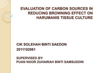 EVALUATION OF CARBON SOURCES IN
REDUCING BROWNING EFFECT ON
HARUMANIS TISSUE CULTURE

CIK SOLEHAH BINTI SAEDON
2011152061
SUPERVISED BY:
PUAN NOOR ZUHAIRAH BINTI SAMSUDDIN

 