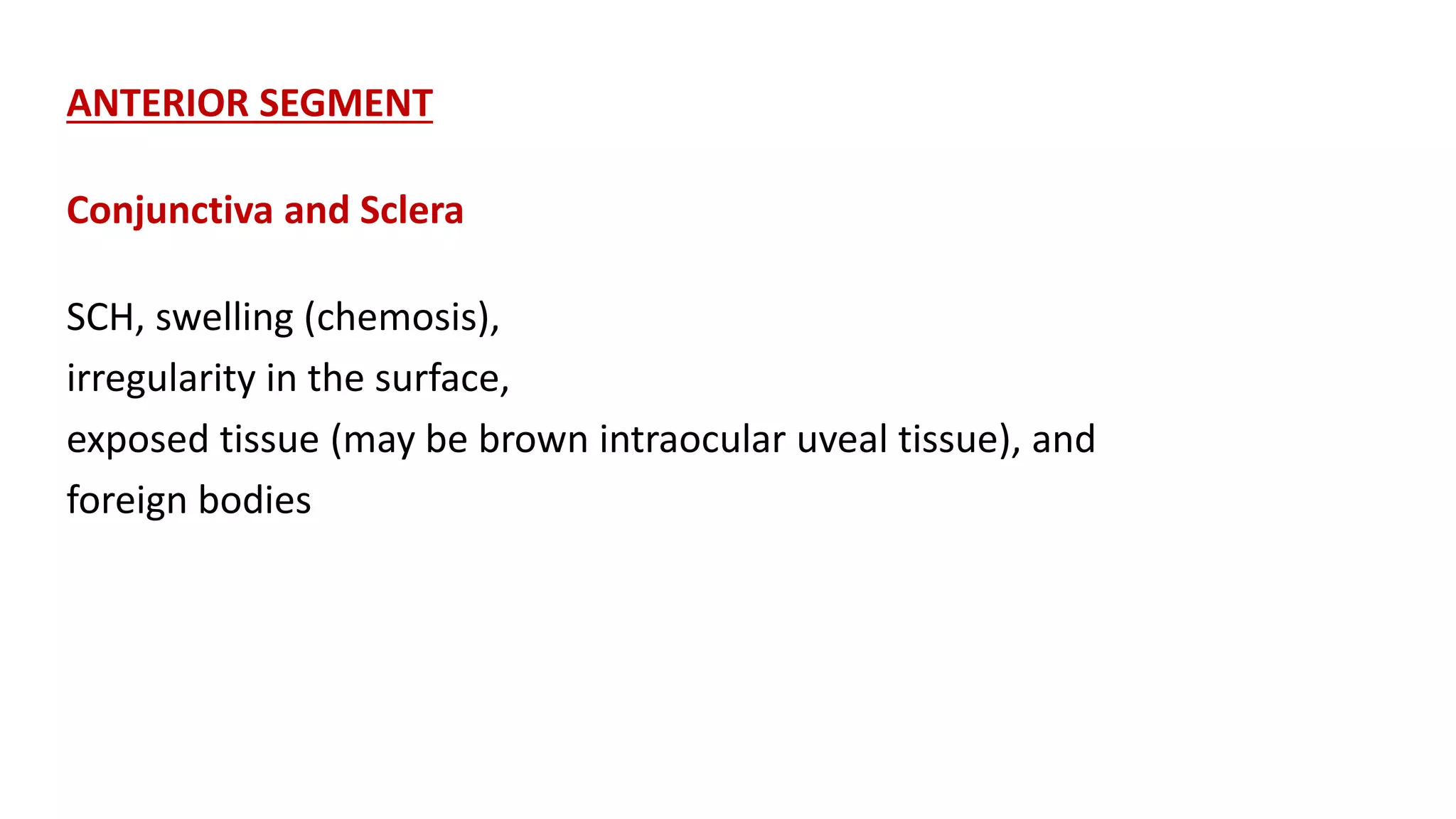 ANTERIOR SEGMENT
Conjunctiva and Sclera
SCH, swelling (chemosis),
irregularity in the surface,
exposed tissue (may be brown intraocular uveal tissue), and
foreign bodies
 
