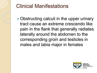 Clinical Manifestations
 Obstructing calculi in the upper urinary
tract cause an extreme crescendo like
pain in the flank that generally radiates
laterally around the abdomen to the
corresponding groin and testicles in
males and labia major in females
 