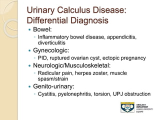 Urinary Calculus Disease:
Differential Diagnosis
 Bowel:
◦ Inflammatory bowel disease, appendicitis,
diverticulitis
 Gynecologic:
◦ PID, ruptured ovarian cyst, ectopic pregnancy
 Neurologic/Musculoskeletal:
◦ Radicular pain, herpes zoster, muscle
spasm/strain
 Genito-urinary:
◦ Cystitis, pyelonephritis, torsion, UPJ obstruction
 
