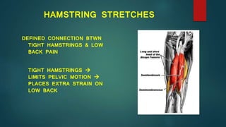 Evaluation and treatment of low back pain chicago aug 2019 | PPTX