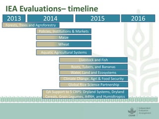 IEA Evaluations– timeline 
2013 2014 2015 2016 
Forests, Trees and Agroforestry 
Policies, Institutions & Markets 
Maize 
Wheat 
Aquatic Agricultural Systems 
Livestock and Fish 
Roots, Tubers, and Bananas 
Water, Land and Ecosystems 
Climate Change, Agri & Food Security 
Global Rice Science Partnership 
QA Support to 5 CRPS: Dryland Systems, Dryland 
Cereals, Grain Legumes, A4NH, and Humidtropics 
 