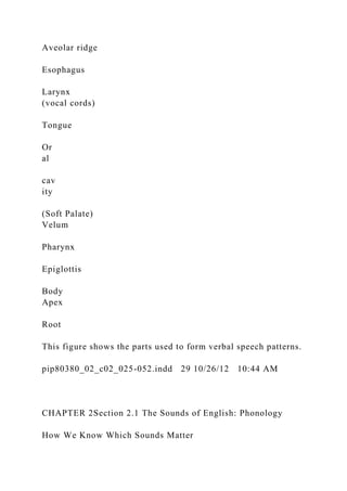 Aveolar ridge
Esophagus
Larynx
(vocal cords)
Tongue
Or
al
cav
ity
(Soft Palate)
Velum
Pharynx
Epiglottis
Body
Apex
Root
This figure shows the parts used to form verbal speech patterns.
pip80380_02_c02_025-052.indd 29 10/26/12 10:44 AM
CHAPTER 2Section 2.1 The Sounds of English: Phonology
How We Know Which Sounds Matter
 