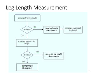 Leg Length Measurement
41
 