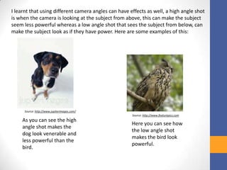 I learnt that using different camera angles can have effects as well, a high angle shot
is when the camera is looking at the subject from above, this can make the subject
seem less powerful whereas a low angle shot that sees the subject from below, can
make the subject look as if they have power. Here are some examples of this:
Source: http://www.jupiterimages.com/
Source: http://www.featurepics.com
As you can see the high
angle shot makes the
dog look venerable and
less powerful than the
bird.
Here you can see how
the low angle shot
makes the bird look
powerful.
 