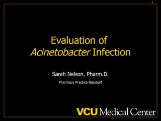 Evaluation of  Acinetobacter  Infection Sarah Nelson, Pharm.D. Pharmacy Practice Resident 
