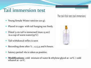 Tail immersion test
 Young female Wister rats(170-210 g).
 Placed in cages with tail hanging out freely.
 Distal 5 cm tail is immersed (max 15 sec)
in a cup of warm water(55°C)
 Tail withdrawal reflex is seen
 Recording done after ½ , 1,2,3,4 and 6 hours.
 latency period ˃6s is taken as positive.
 Modifications- cold mixture of water & ethylene glycol at -10°C./ cold
ethanol at -20°C.
 