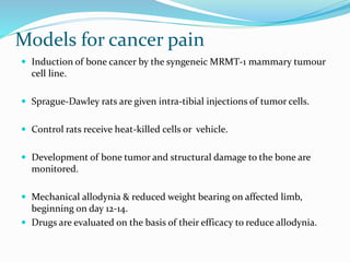 Models for cancer pain
 Induction of bone cancer by the syngeneic MRMT-1 mammary tumour
cell line.
 Sprague-Dawley rats are given intra-tibial injections of tumor cells.
 Control rats receive heat-killed cells or vehicle.
 Development of bone tumor and structural damage to the bone are
monitored.
 Mechanical allodynia & reduced weight bearing on affected limb,
beginning on day 12-14.
 Drugs are evaluated on the basis of their efficacy to reduce allodynia.
 
