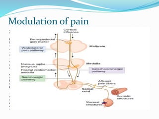 Modulation of pain
 