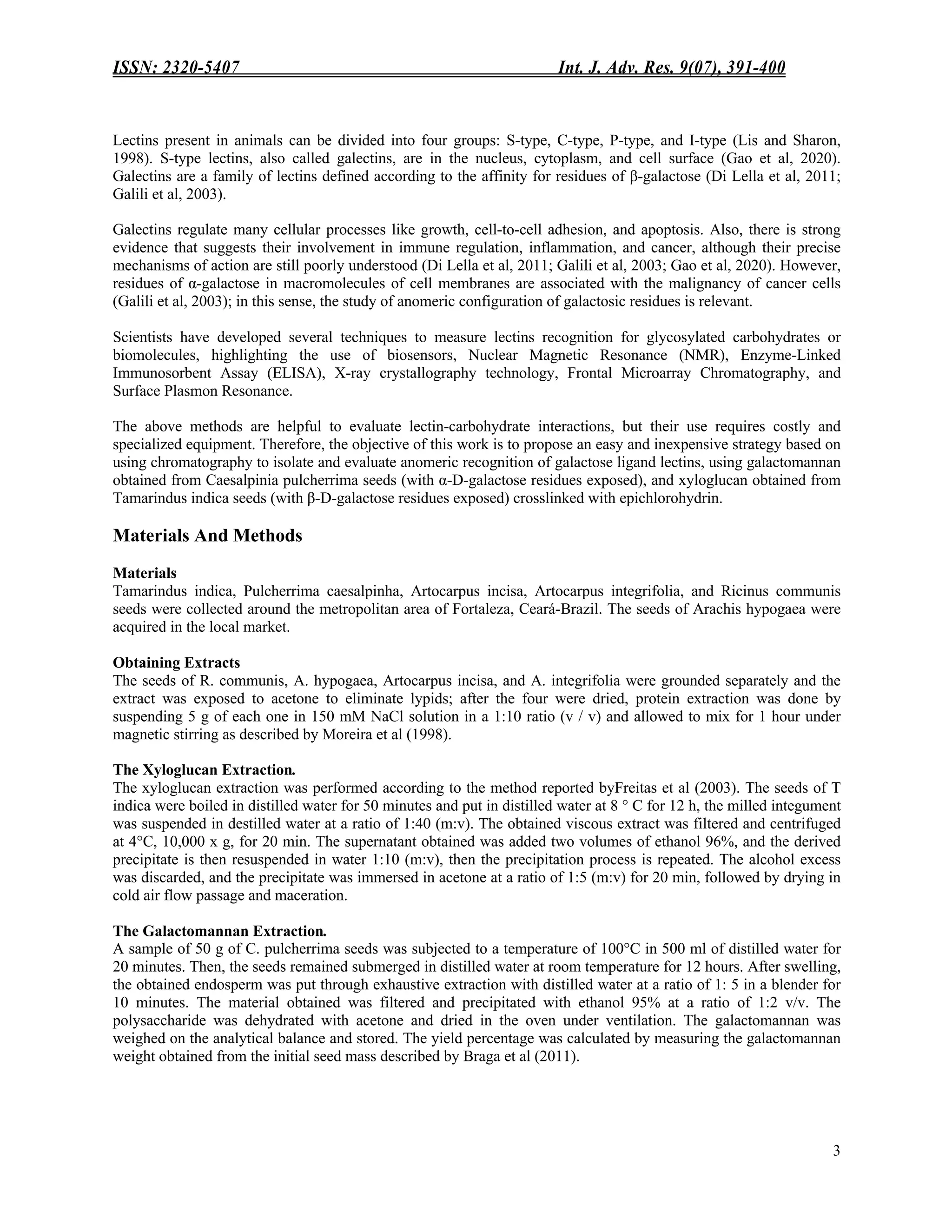 ISSN: 2320-5407 Int. J. Adv. Res. 9(07), 391-400
3
Lectins present in animals can be divided into four groups: S-type, C-type, P-type, and I-type (Lis and Sharon,
1998). S-type lectins, also called galectins, are in the nucleus, cytoplasm, and cell surface (Gao et al, 2020).
Galectins are a family of lectins defined according to the affinity for residues of β-galactose (Di Lella et al, 2011;
Galili et al, 2003).
Galectins regulate many cellular processes like growth, cell-to-cell adhesion, and apoptosis. Also, there is strong
evidence that suggests their involvement in immune regulation, inflammation, and cancer, although their precise
mechanisms of action are still poorly understood (Di Lella et al, 2011; Galili et al, 2003; Gao et al, 2020). However,
residues of α-galactose in macromolecules of cell membranes are associated with the malignancy of cancer cells
(Galili et al, 2003); in this sense, the study of anomeric configuration of galactosic residues is relevant.
Scientists have developed several techniques to measure lectins recognition for glycosylated carbohydrates or
biomolecules, highlighting the use of biosensors, Nuclear Magnetic Resonance (NMR), Enzyme-Linked
Immunosorbent Assay (ELISA), X-ray crystallography technology, Frontal Microarray Chromatography, and
Surface Plasmon Resonance.
The above methods are helpful to evaluate lectin-carbohydrate interactions, but their use requires costly and
specialized equipment. Therefore, the objective of this work is to propose an easy and inexpensive strategy based on
using chromatography to isolate and evaluate anomeric recognition of galactose ligand lectins, using galactomannan
obtained from Caesalpinia pulcherrima seeds (with α-D-galactose residues exposed), and xyloglucan obtained from
Tamarindus indica seeds (with β-D-galactose residues exposed) crosslinked with epichlorohydrin.
Materials And Methods
Materials
Tamarindus indica, Pulcherrima caesalpinha, Artocarpus incisa, Artocarpus integrifolia, and Ricinus communis
seeds were collected around the metropolitan area of Fortaleza, Ceará-Brazil. The seeds of Arachis hypogaea were
acquired in the local market.
Obtaining Extracts
The seeds of R. communis, A. hypogaea, Artocarpus incisa, and A. integrifolia were grounded separately and the
extract was exposed to acetone to eliminate lypids; after the four were dried, protein extraction was done by
suspending 5 g of each one in 150 mM NaCl solution in a 1:10 ratio (v / v) and allowed to mix for 1 hour under
magnetic stirring as described by Moreira et al (1998).
The Xyloglucan Extraction.
The xyloglucan extraction was performed according to the method reported byFreitas et al (2003). The seeds of T
indica were boiled in distilled water for 50 minutes and put in distilled water at 8 ° C for 12 h, the milled integument
was suspended in destilled water at a ratio of 1:40 (m:v). The obtained viscous extract was filtered and centrifuged
at 4°C, 10,000 x g, for 20 min. The supernatant obtained was added two volumes of ethanol 96%, and the derived
precipitate is then resuspended in water 1:10 (m:v), then the precipitation process is repeated. The alcohol excess
was discarded, and the precipitate was immersed in acetone at a ratio of 1:5 (m:v) for 20 min, followed by drying in
cold air flow passage and maceration.
The Galactomannan Extraction.
A sample of 50 g of C. pulcherrima seeds was subjected to a temperature of 100°C in 500 ml of distilled water for
20 minutes. Then, the seeds remained submerged in distilled water at room temperature for 12 hours. After swelling,
the obtained endosperm was put through exhaustive extraction with distilled water at a ratio of 1: 5 in a blender for
10 minutes. The material obtained was filtered and precipitated with ethanol 95% at a ratio of 1:2 v/v. The
polysaccharide was dehydrated with acetone and dried in the oven under ventilation. The galactomannan was
weighed on the analytical balance and stored. The yield percentage was calculated by measuring the galactomannan
weight obtained from the initial seed mass described by Braga et al (2011).
 