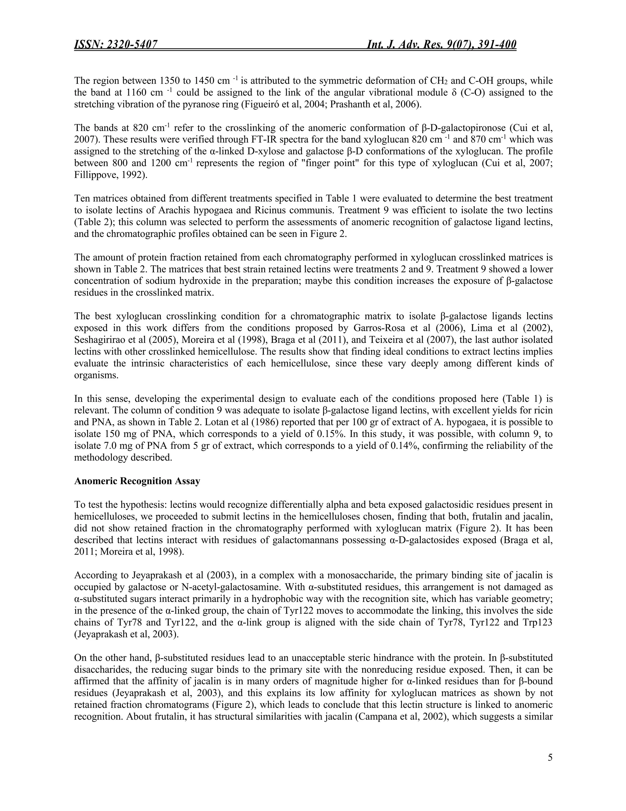 ISSN: 2320-5407 Int. J. Adv. Res. 9(07), 391-400
5
The region between 1350 to 1450 cm -1
is attributed to the symmetric deformation of CH2 and C-OH groups, while
the band at 1160 cm -1
could be assigned to the link of the angular vibrational module δ (C-O) assigned to the
stretching vibration of the pyranose ring (Figueiró et al, 2004; Prashanth et al, 2006).
The bands at 820 cm-1
refer to the crosslinking of the anomeric conformation of β-D-galactopironose (Cui et al,
2007). These results were verified through FT-IR spectra for the band xyloglucan 820 cm -1
and 870 cm-1
which was
assigned to the stretching of the α-linked D-xylose and galactose β-D conformations of the xyloglucan. The profile
between 800 and 1200 cm-1
represents the region of "finger point" for this type of xyloglucan (Cui et al, 2007;
Fillippove, 1992).
Ten matrices obtained from different treatments specified in Table 1 were evaluated to determine the best treatment
to isolate lectins of Arachis hypogaea and Ricinus communis. Treatment 9 was efficient to isolate the two lectins
(Table 2); this column was selected to perform the assessments of anomeric recognition of galactose ligand lectins,
and the chromatographic profiles obtained can be seen in Figure 2.
The amount of protein fraction retained from each chromatography performed in xyloglucan crosslinked matrices is
shown in Table 2. The matrices that best strain retained lectins were treatments 2 and 9. Treatment 9 showed a lower
concentration of sodium hydroxide in the preparation; maybe this condition increases the exposure of β-galactose
residues in the crosslinked matrix.
The best xyloglucan crosslinking condition for a chromatographic matrix to isolate β-galactose ligands lectins
exposed in this work differs from the conditions proposed by Garros-Rosa et al (2006), Lima et al (2002),
Seshagirirao et al (2005), Moreira et al (1998), Braga et al (2011), and Teixeira et al (2007), the last author isolated
lectins with other crosslinked hemicellulose. The results show that finding ideal conditions to extract lectins implies
evaluate the intrinsic characteristics of each hemicellulose, since these vary deeply among different kinds of
organisms.
In this sense, developing the experimental design to evaluate each of the conditions proposed here (Table 1) is
relevant. The column of condition 9 was adequate to isolate β-galactose ligand lectins, with excellent yields for ricin
and PNA, as shown in Table 2. Lotan et al (1986) reported that per 100 gr of extract of A. hypogaea, it is possible to
isolate 150 mg of PNA, which corresponds to a yield of 0.15%. In this study, it was possible, with column 9, to
isolate 7.0 mg of PNA from 5 gr of extract, which corresponds to a yield of 0.14%, confirming the reliability of the
methodology described.
Anomeric Recognition Assay
To test the hypothesis: lectins would recognize differentially alpha and beta exposed galactosidic residues present in
hemicelluloses, we proceeded to submit lectins in the hemicelluloses chosen, finding that both, frutalin and jacalin,
did not show retained fraction in the chromatography performed with xyloglucan matrix (Figure 2). It has been
described that lectins interact with residues of galactomannans possessing α-D-galactosides exposed (Braga et al,
2011; Moreira et al, 1998).
According to Jeyaprakash et al (2003), in a complex with a monosaccharide, the primary binding site of jacalin is
occupied by galactose or N-acetyl-galactosamine. With α-substituted residues, this arrangement is not damaged as
α-substituted sugars interact primarily in a hydrophobic way with the recognition site, which has variable geometry;
in the presence of the α-linked group, the chain of Tyr122 moves to accommodate the linking, this involves the side
chains of Tyr78 and Tyr122, and the α-link group is aligned with the side chain of Tyr78, Tyr122 and Trp123
(Jeyaprakash et al, 2003).
On the other hand, β-substituted residues lead to an unacceptable steric hindrance with the protein. In β-substituted
disaccharides, the reducing sugar binds to the primary site with the nonreducing residue exposed. Then, it can be
affirmed that the affinity of jacalin is in many orders of magnitude higher for α-linked residues than for β-bound
residues (Jeyaprakash et al, 2003), and this explains its low affinity for xyloglucan matrices as shown by not
retained fraction chromatograms (Figure 2), which leads to conclude that this lectin structure is linked to anomeric
recognition. About frutalin, it has structural similarities with jacalin (Campana et al, 2002), which suggests a similar
 