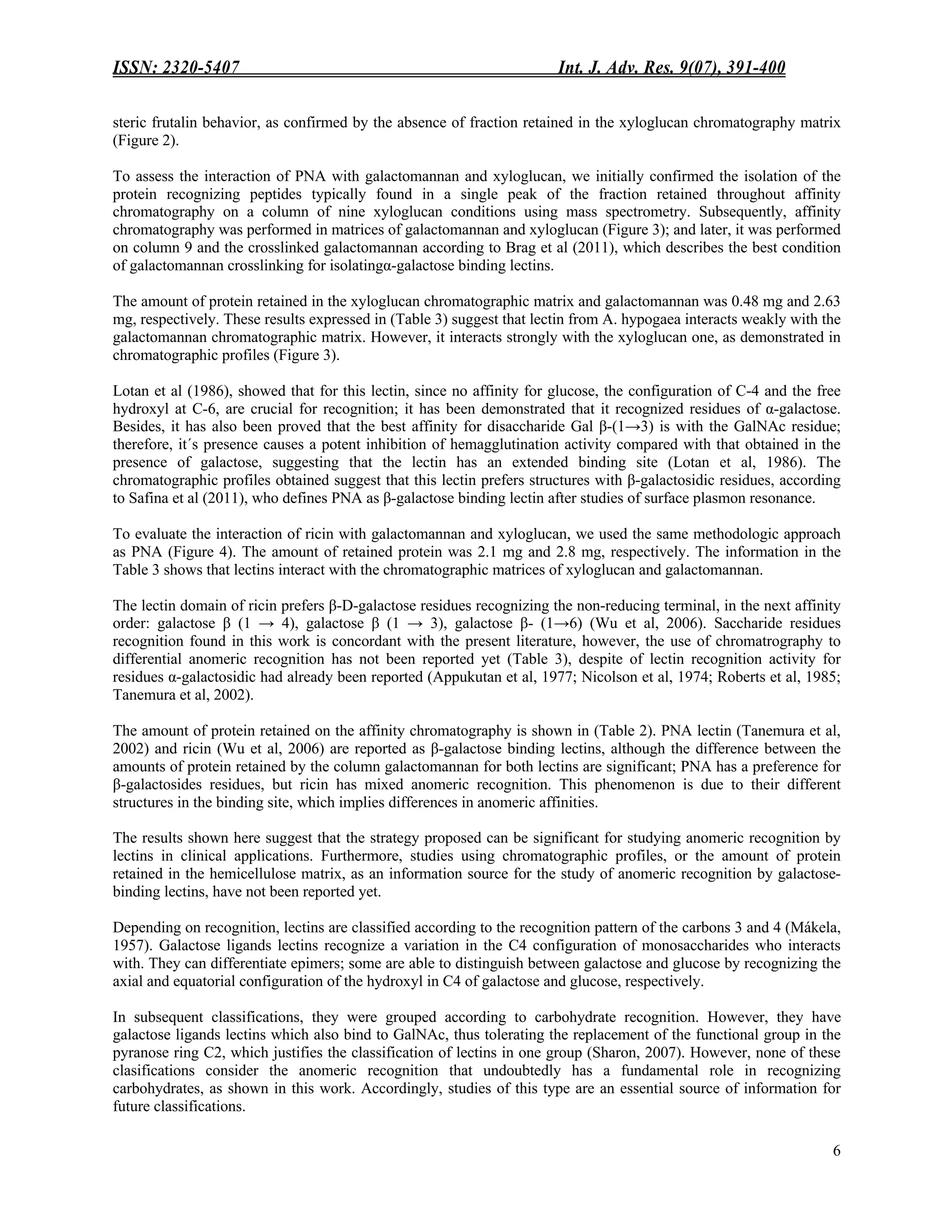 ISSN: 2320-5407 Int. J. Adv. Res. 9(07), 391-400
6
steric frutalin behavior, as confirmed by the absence of fraction retained in the xyloglucan chromatography matrix
(Figure 2).
To assess the interaction of PNA with galactomannan and xyloglucan, we initially confirmed the isolation of the
protein recognizing peptides typically found in a single peak of the fraction retained throughout affinity
chromatography on a column of nine xyloglucan conditions using mass spectrometry. Subsequently, affinity
chromatography was performed in matrices of galactomannan and xyloglucan (Figure 3); and later, it was performed
on column 9 and the crosslinked galactomannan according to Brag et al (2011), which describes the best condition
of galactomannan crosslinking for isolatingα-galactose binding lectins.
The amount of protein retained in the xyloglucan chromatographic matrix and galactomannan was 0.48 mg and 2.63
mg, respectively. These results expressed in (Table 3) suggest that lectin from A. hypogaea interacts weakly with the
galactomannan chromatographic matrix. However, it interacts strongly with the xyloglucan one, as demonstrated in
chromatographic profiles (Figure 3).
Lotan et al (1986), showed that for this lectin, since no affinity for glucose, the configuration of C-4 and the free
hydroxyl at C-6, are crucial for recognition; it has been demonstrated that it recognized residues of α-galactose.
Besides, it has also been proved that the best affinity for disaccharide Gal β-(1→3) is with the GalNAc residue;
therefore, it´s presence causes a potent inhibition of hemagglutination activity compared with that obtained in the
presence of galactose, suggesting that the lectin has an extended binding site (Lotan et al, 1986). The
chromatographic profiles obtained suggest that this lectin prefers structures with β-galactosidic residues, according
to Safina et al (2011), who defines PNA as β-galactose binding lectin after studies of surface plasmon resonance.
To evaluate the interaction of ricin with galactomannan and xyloglucan, we used the same methodologic approach
as PNA (Figure 4). The amount of retained protein was 2.1 mg and 2.8 mg, respectively. The information in the
Table 3 shows that lectins interact with the chromatographic matrices of xyloglucan and galactomannan.
The lectin domain of ricin prefers β-D-galactose residues recognizing the non-reducing terminal, in the next affinity
order: galactose β (1 → 4), galactose β (1 → 3), galactose β- (1→6) (Wu et al, 2006). Saccharide residues
recognition found in this work is concordant with the present literature, however, the use of chromatrography to
differential anomeric recognition has not been reported yet (Table 3), despite of lectin recognition activity for
residues α-galactosidic had already been reported (Appukutan et al, 1977; Nicolson et al, 1974; Roberts et al, 1985;
Tanemura et al, 2002).
The amount of protein retained on the affinity chromatography is shown in (Table 2). PNA lectin (Tanemura et al,
2002) and ricin (Wu et al, 2006) are reported as β-galactose binding lectins, although the difference between the
amounts of protein retained by the column galactomannan for both lectins are significant; PNA has a preference for
β-galactosides residues, but ricin has mixed anomeric recognition. This phenomenon is due to their different
structures in the binding site, which implies differences in anomeric affinities.
The results shown here suggest that the strategy proposed can be significant for studying anomeric recognition by
lectins in clinical applications. Furthermore, studies using chromatographic profiles, or the amount of protein
retained in the hemicellulose matrix, as an information source for the study of anomeric recognition by galactose-
binding lectins, have not been reported yet.
Depending on recognition, lectins are classified according to the recognition pattern of the carbons 3 and 4 (Mákela,
1957). Galactose ligands lectins recognize a variation in the C4 configuration of monosaccharides who interacts
with. They can differentiate epimers; some are able to distinguish between galactose and glucose by recognizing the
axial and equatorial configuration of the hydroxyl in C4 of galactose and glucose, respectively.
In subsequent classifications, they were grouped according to carbohydrate recognition. However, they have
galactose ligands lectins which also bind to GalNAc, thus tolerating the replacement of the functional group in the
pyranose ring C2, which justifies the classification of lectins in one group (Sharon, 2007). However, none of these
clasifications consider the anomeric recognition that undoubtedly has a fundamental role in recognizing
carbohydrates, as shown in this work. Accordingly, studies of this type are an essential source of information for
future classifications.
 