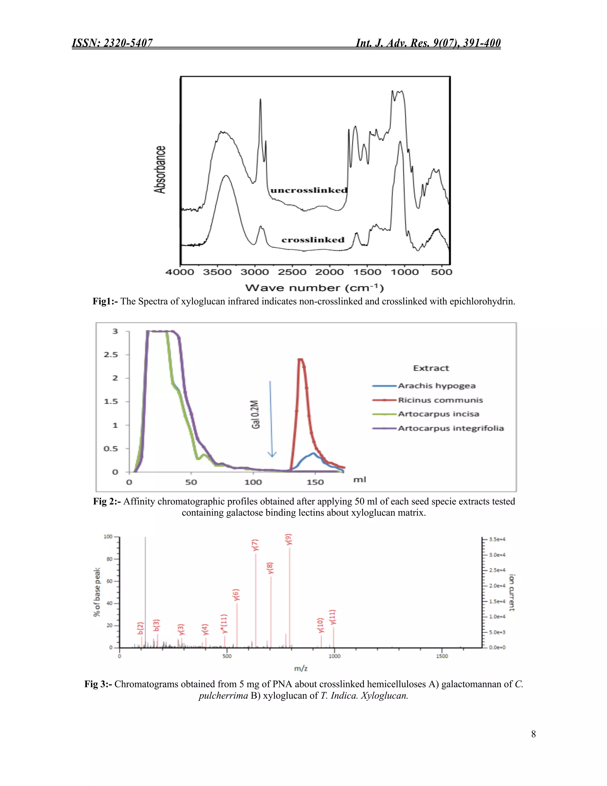 ISSN: 2320-5407 Int. J. Adv. Res. 9(07), 391-400
8
Fig1:- The Spectra of xyloglucan infrared indicates non-crosslinked and crosslinked with epichlorohydrin.
Fig 2:- Affinity chromatographic profiles obtained after applying 50 ml of each seed specie extracts tested
containing galactose binding lectins about xyloglucan matrix.
Fig 3:- Chromatograms obtained from 5 mg of PNA about crosslinked hemicelluloses A) galactomannan of C.
pulcherrima B) xyloglucan of T. Indica. Xyloglucan.
 