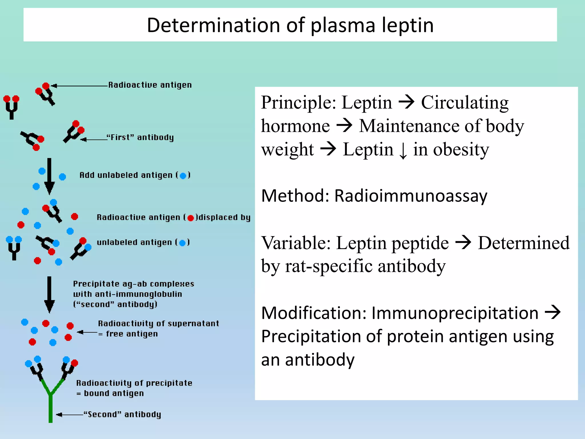 Determination of plasma leptin
Principle: Leptin  Circulating
hormone  Maintenance of body
weight  Leptin ↓ in obesity
Method: Radioimmunoassay
Variable: Leptin peptide  Determined
by rat-specific antibody
Modification: Immunoprecipitation 
Precipitation of protein antigen using
an antibody
 
