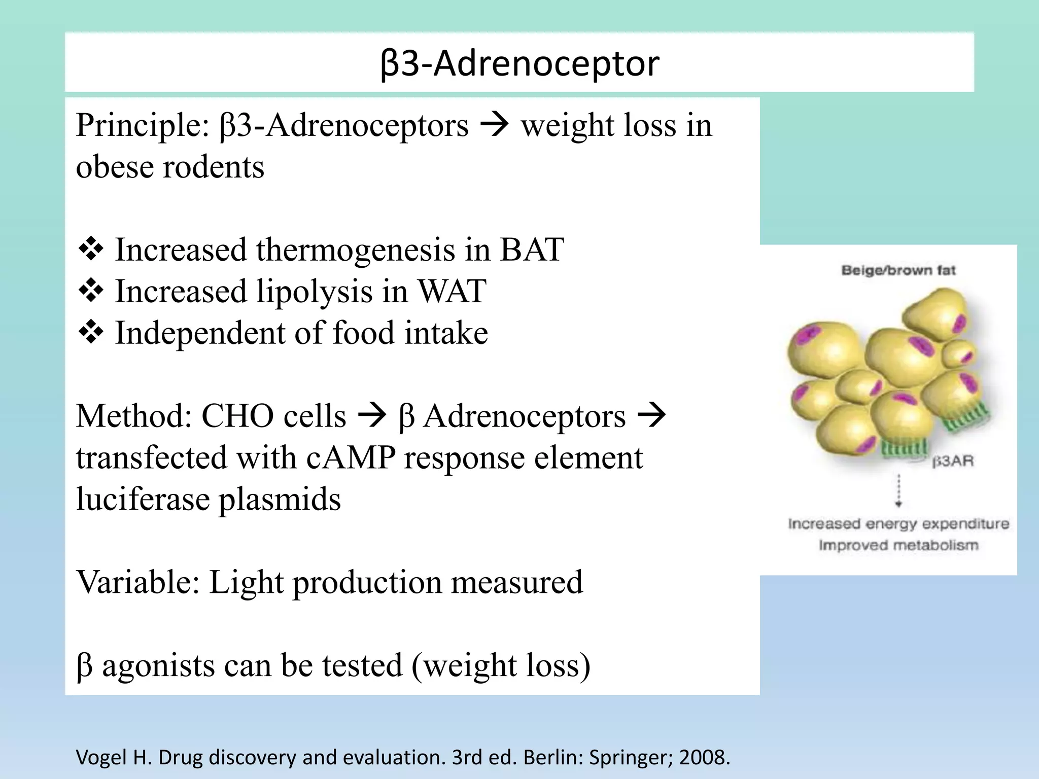 β3-Adrenoceptor
Principle: β3-Adrenoceptors  weight loss in
obese rodents
 Increased thermogenesis in BAT
 Increased lipolysis in WAT
 Independent of food intake
Method: CHO cells  β Adrenoceptors 
transfected with cAMP response element
luciferase plasmids
Variable: Light production measured
β agonists can be tested (weight loss)
Vogel H. Drug discovery and evaluation. 3rd ed. Berlin: Springer; 2008.
 