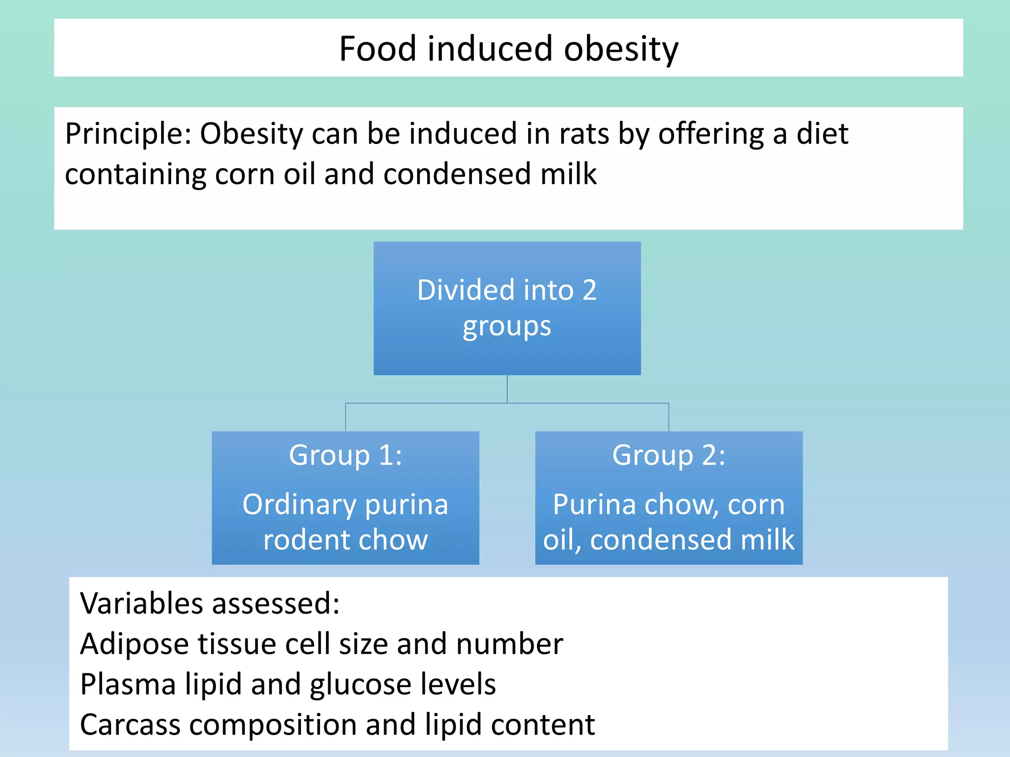 Food induced obesity
Divided into 2
groups
Group 1:
Ordinary purina
rodent chow
Group 2:
Purina chow, corn
oil, condensed milk
Principle: Obesity can be induced in rats by offering a diet
containing corn oil and condensed milk
Variables assessed:
Adipose tissue cell size and number
Plasma lipid and glucose levels
Carcass composition and lipid content
 