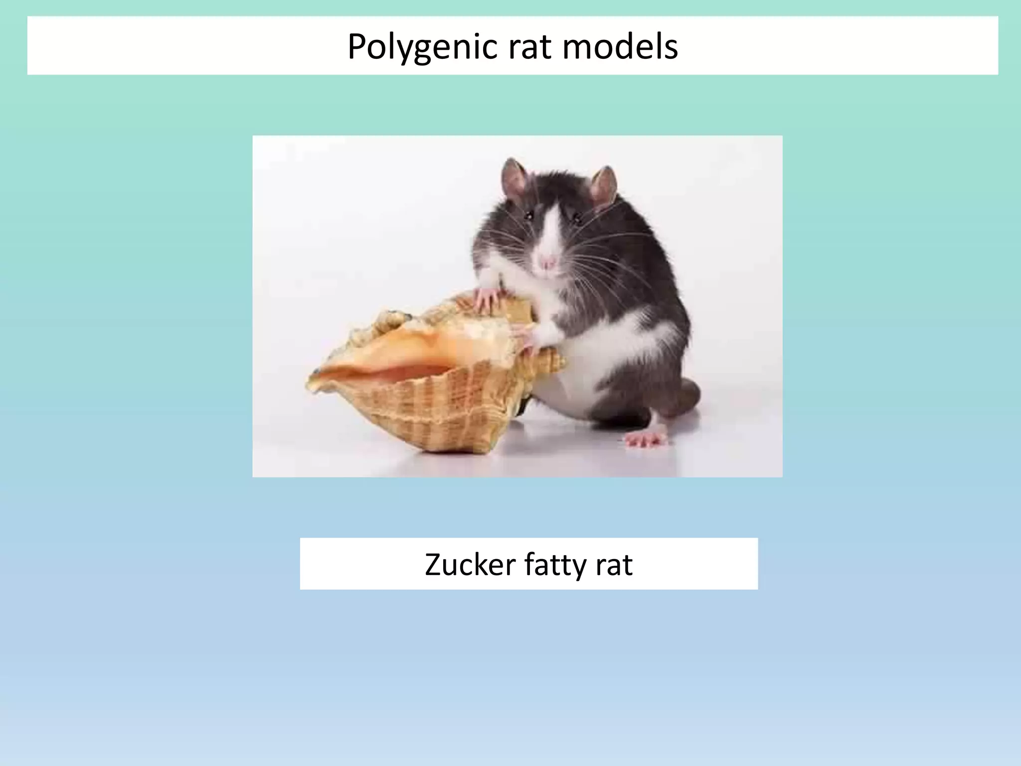 Polygenic rat models
Zucker fatty rat
 