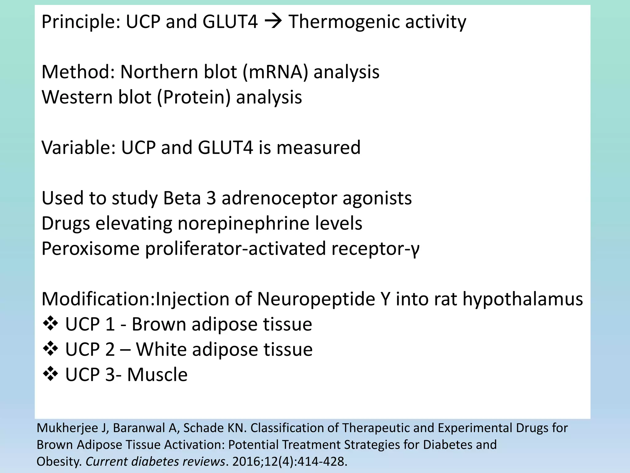Principle: UCP and GLUT4  Thermogenic activity
Method: Northern blot (mRNA) analysis
Western blot (Protein) analysis
Variable: UCP and GLUT4 is measured
Used to study Beta 3 adrenoceptor agonists
Drugs elevating norepinephrine levels
Peroxisome proliferator-activated receptor-γ
Modification:Injection of Neuropeptide Y into rat hypothalamus
 UCP 1 - Brown adipose tissue
 UCP 2 – White adipose tissue
 UCP 3- Muscle
Mukherjee J, Baranwal A, Schade KN. Classification of Therapeutic and Experimental Drugs for
Brown Adipose Tissue Activation: Potential Treatment Strategies for Diabetes and
Obesity. Current diabetes reviews. 2016;12(4):414-428.
 