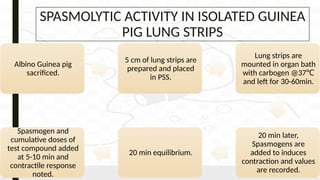 Spasmogen Example Comprehensive Evaluation of Anti-Asthmatic Drugs: Pharmacology, Methods ...