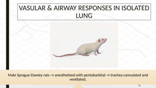 Comprehensive Evaluation of Anti-Asthmatic Drugs: Pharmacology, Methods ...
