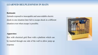 LEARNED HELPLESSNESS IN RATS
Rationale:
Animals exposed to inescapable and unavoidable electric
shock in one situation later fail to escape shock in a different
situation even when escape is possible.
Apparatus:
Box with electrical grid floor with a platform which can
be inserted through one side of the wall to allow jump up
response
 