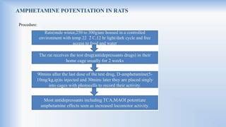 AMPHETAMINE POTENTIATION IN RATS
Procedure:
 