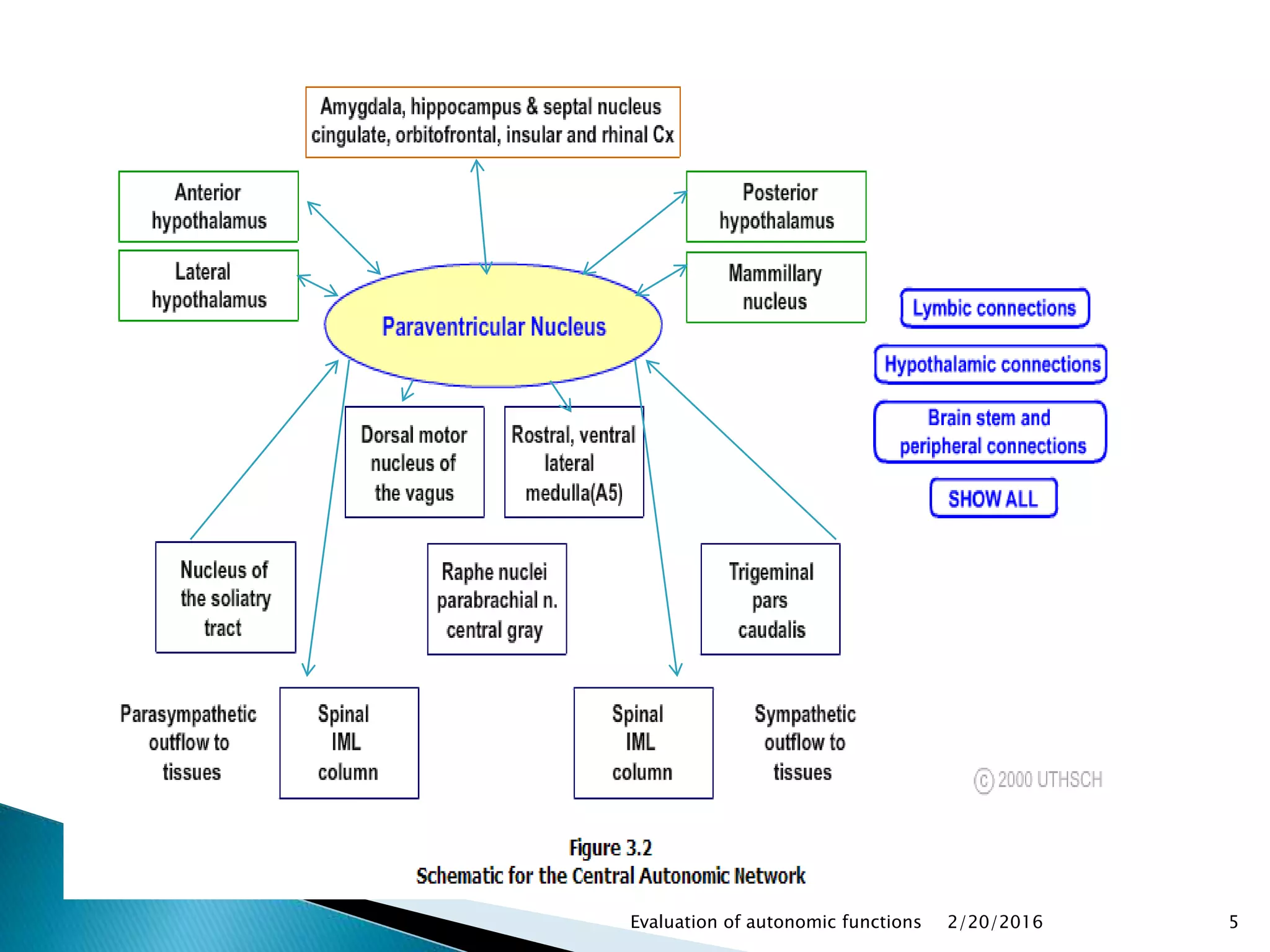 2/20/2016Evaluation of autonomic functions 5
 