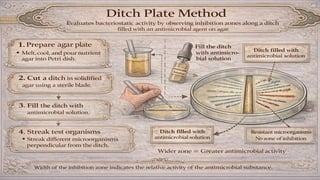 Evaluation of bactericidal & Bacteriostatic | PDF
