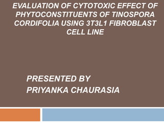 EVALUATION OF CYTOTOXIC EFFECT OF
PHYTOCONSTITUENTS OF TINOSPORA
CORDIFOLIA USING 3T3L1 FIBROBLAST
CELL LINE

PRESENTED BY
PRIYANKA CHAURASIA

 