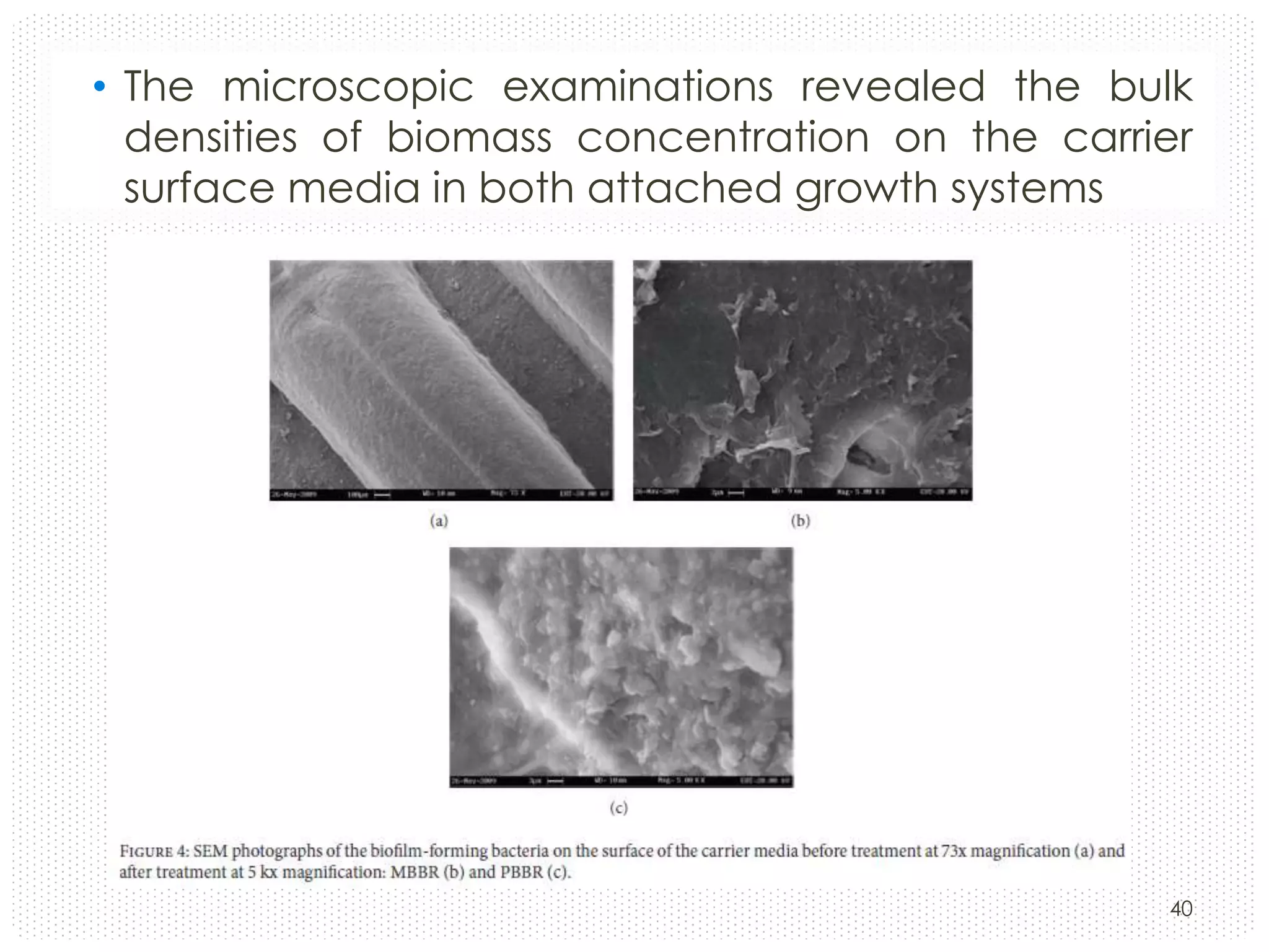 • The microscopic examinations revealed the bulk
densities of biomass concentration on the carrier
surface media in both attached growth systems

40

 