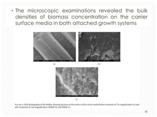 • The microscopic examinations revealed the bulk
densities of biomass concentration on the carrier
surface media in both attached growth systems

40

 