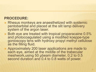 Eye Injection Monkey Evaluation of drugs acting on glaucoma & cataract by hiren | PPTX
