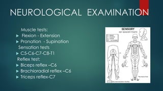 PS SESSION : ELBOW WRIST AND HAND EXAMINATION PART 1 | PDF