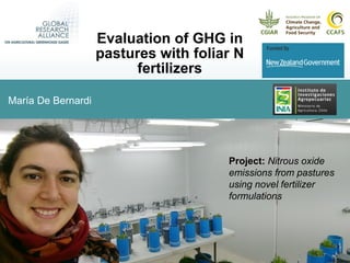 Evaluation of GHG in pastures with foliar N fertilizers