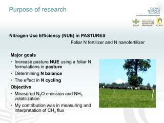 Evaluation of GHG in pastures with foliar N fertilizers