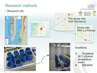 Evaluation of GHG in pastures with foliar N fertilizers
