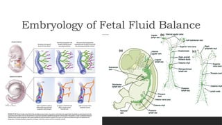 Evaluation of Hydrops Fetalis.pptx fetal anomaly | PPTX