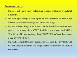 Evaluation of Input and Output Energy for Maize Grain | PPTX